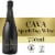 Freixenet Brut Cordon Negro Cava Spain Sparkling Wine Perspective: front