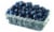Fresh Blueberries Big Deal Perspective: front