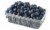 Fresh Blueberries Perspective: front