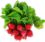Organic Radishes Perspective: front