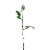 CC Home Furnishings 22.5 Artificial Long Single Stem Cream Colored Budding Rose Perspective: front