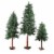 Northlight Set of 3 Slim Woodland Alpine Artificial Christmas Trees 5' - Unlit Perspective: front