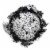 Halloween Spider Web Wreath Grapevine Wall Decor Afz181 Perspective: front
