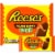 REESE'S Milk Chocolate Peanut Butter Eggs Easter Candy Packs Perspective: front