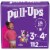Pull-Ups® Learning Designs 3T-4T Girls Training Pants Huge Pack Perspective: front
