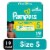 Pampers Swaddlers Active Baby Diaper Size 5 Perspective: front