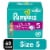 Pampers Cruisers Size 5 Diapers Perspective: front