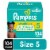 Pampers Swaddlers Baby Diapers Size 5 (27+ lbs) Perspective: front