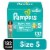 Pampers Baby Dry Baby Diapers Size 5 (27+ lbs) Perspective: front