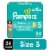 Pampers Baby Dry Diapers Size 5 Perspective: front