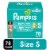 Pampers Baby Dry Baby Diapers Size 5 (27+ lbs) Perspective: front
