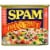 SPAM® Hot & Spicy Perspective: front
