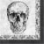 Creative Converting Skull & Spider Lunch Napkins Perspective: front