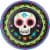 Creative Converting Day of the Dead Plates Perspective: front
