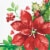 CC Paper Art Perfect Poinsettia Lunch Napkins - 16 Pack Perspective: front