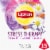 Lipton® Stress Therapy Cinnamon Chamomile & Lavender Caffeine Free Herbal Supplement Tea Bags Perspective: front