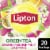 Lipton® Orange Passionfruit Jasmine Green Tea Bags Perspective: front