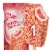Good Humor Strawberry Shortcake Frozen Dessert Bars Perspective: front