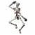Holiday Home Jointed Cutout Skeleton Perspective: front