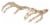 Holiday Home™ Skeleton Hands Decor - Bone Perspective: front