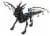 Holiday Home Dragon - Black Perspective: front