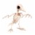 Holiday Home Tweety Bonez Skeleton Figure Perspective: front