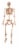 Holiday Home® Pose-N-Stay Skeleton - Cream Perspective: front