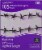 Holiday Home® Garland Lights - Purple Perspective: front