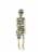 Holiday Home Hanging Convict Dressed Skeleton Decoration Perspective: front