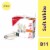 Everyday Living® 4.5-Watt (40-Watt) B11 LED Light Bulbs Perspective: front