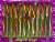 Spree® Holiday Flavor Kick Candy Canes Perspective: front