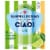 San Pellegrinio Ciao! Lime Sparkling Water Cans Perspective: front