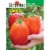 Burpee® Tomato Gladiator Hybrid Seed Packet Perspective: front
