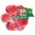 Babybel Mini Mozzarella Cheese Fresh Sliced Deli Cheese Perspective: front