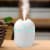 Renewgoo GOO2O Mini Humidifier Cool Mist Air Portable Quiet LED Night Light Whit Perspective: front
