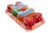 Lakeview Farms Real Dessert Fruit Gelatin 8 Pack Perspective: front