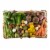 Baby Veggies Variety Gift Basket (Approximate Delivery is 3-5 Days) Perspective: front