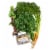 Melissa's Healthy Juice Box (Approximate Delivery 3-5 Days) Perspective: front