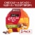 Sargento® Sweet Balanced Breaks® Cheddar Cheese Almonds Raisins & Greek Yogurt Drops Snack Packs Perspective: front
