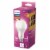 Philips 29-Watt (150-Watt) A21 Extra Light Warm Glow LED Light Bulbs Perspective: front