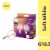 Philips 40-Watt Globe LED Light Bulbs Perspective: front