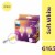 Philips 5-Watt (60-Watt) Globe G16.5 LED Light Bulbs Perspective: front