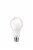 Philips 11-Watt (75-Watt) A19 Medium Base LED Light Bulbs Perspective: front