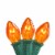 Northlight 25-Count Transparent Orange C7 Christmas Lights, 24ft Green Wire Perspective: front