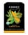 Choice Organics Genmaicha Green Tea Bags Perspective: front