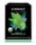 Choice Organics Peppermint Tea Bags Perspective: front