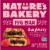 Nature's Bakery® Raspberry Fig Bars Perspective: front