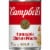 Campbell's Condensed Homestyle Chicken Noodle Soup Perspective: front