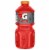 Gatorade Fruit Punch Thirst Quencher Perspective: front