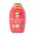 OGX Repair & Protect Bond Protein Repair Shampoo Perspective: front